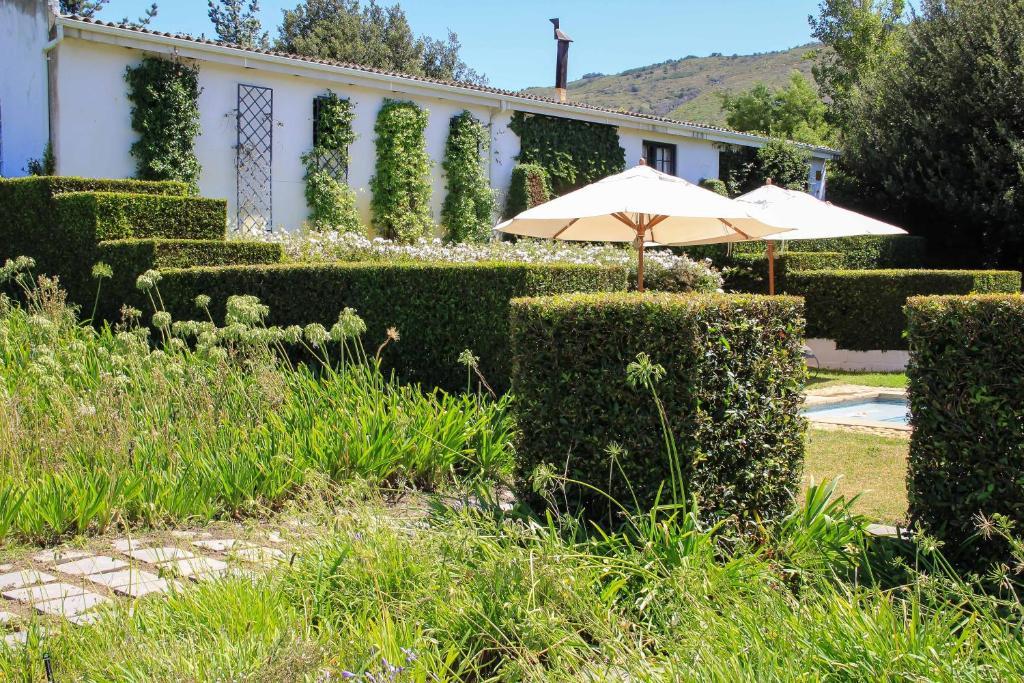 パール Belair Country House Bed & Breakfast エクステリア 写真